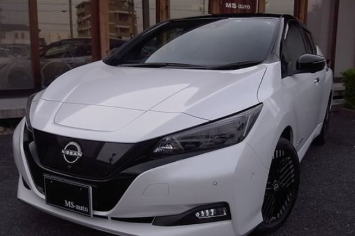 Nissan Leaf  E + G