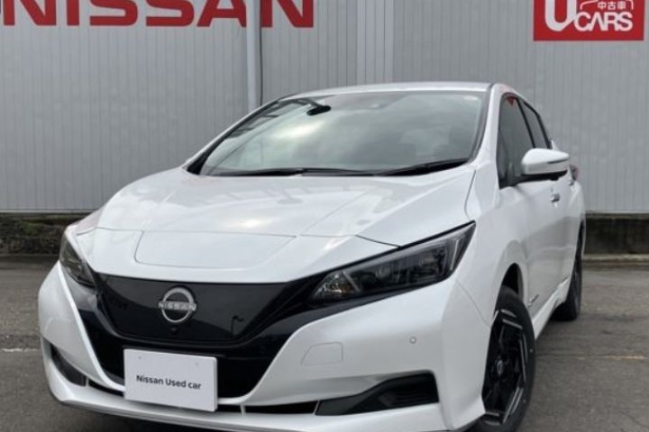 Nissan Leaf  e+  X